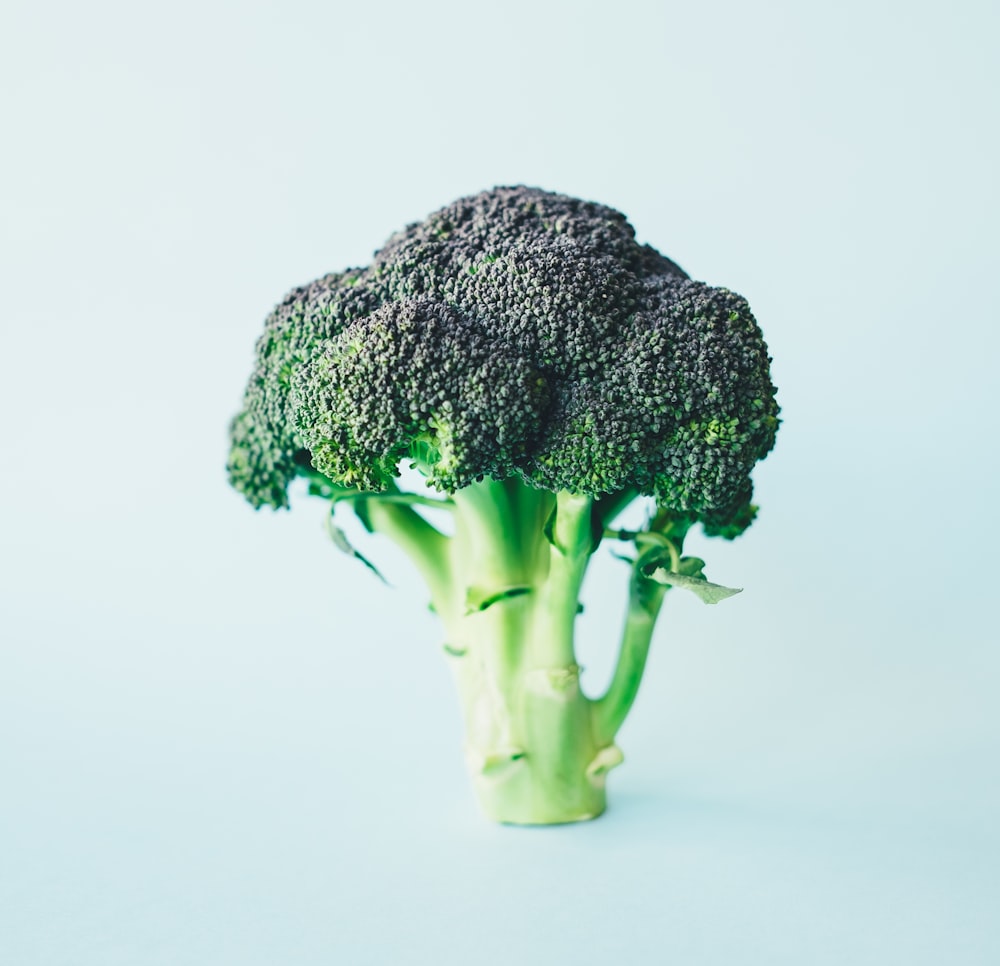 Broccoli groothandel Nederland - verse broccoli