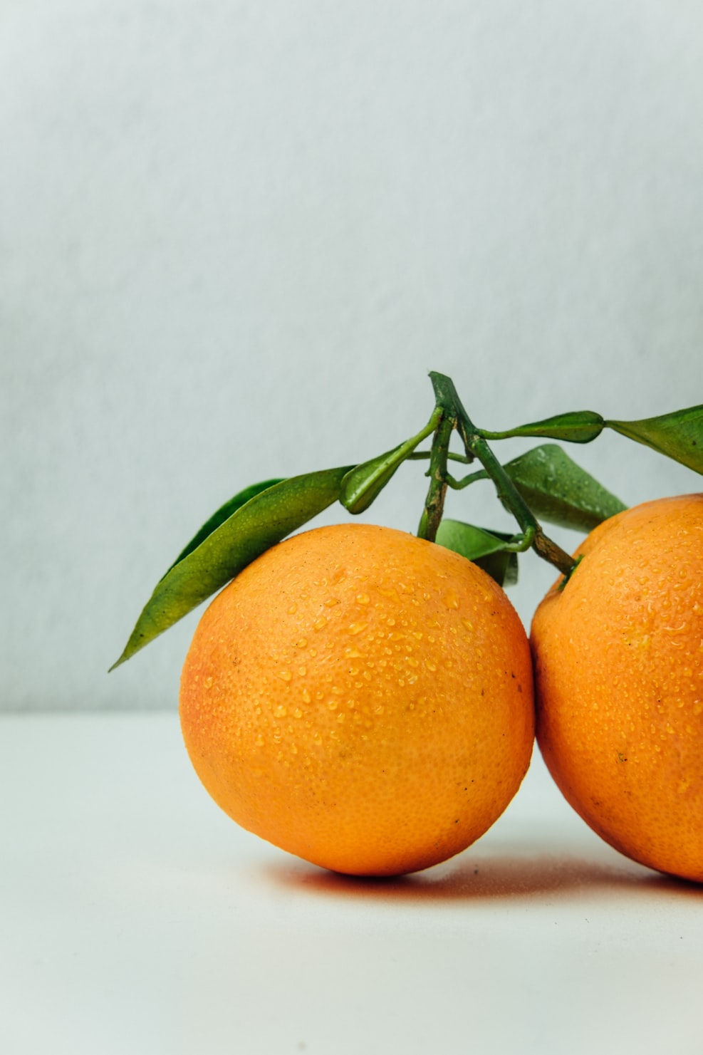 Sinaasappels groothandel Nederland - verse sinaasappels