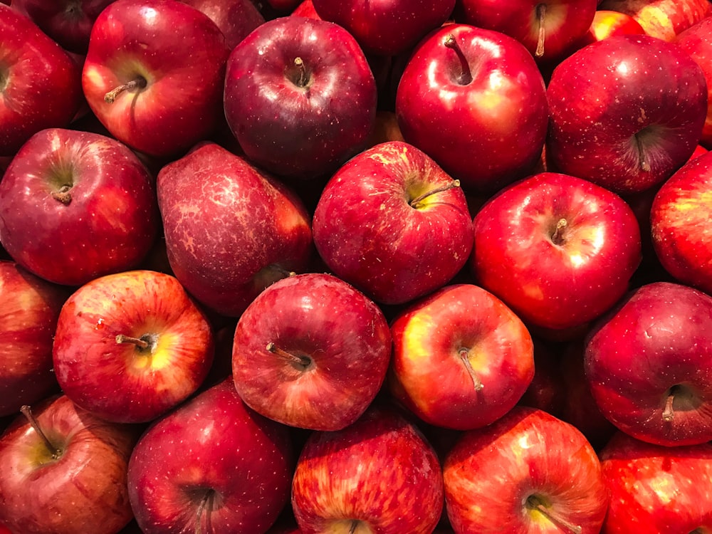 Appels groothandel Nederland - verse appels
